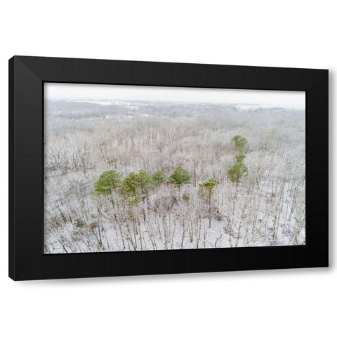 Aerial view of a fresh snow over the forest-Marion County-Illinois Black Modern Wood Framed Art Print with Double Matting by Day, Richard and Susan