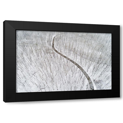 Aerial view of a fresh snow over the forest and road-Marion County-Illinois Black Modern Wood Framed Art Print with Double Matting by Day, Richard and Susan