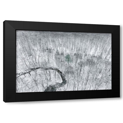 Aerial view of woods after a snowfall-Marion County-Illinois Black Modern Wood Framed Art Print by Day, Richard and Susan