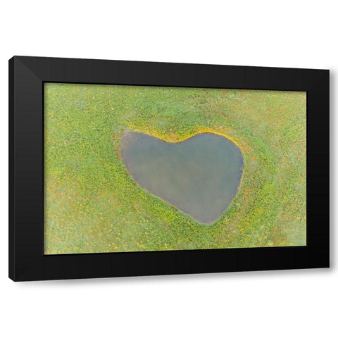 Heart shaped pond-Marion County-Illinois Black Modern Wood Framed Art Print by Day, Richard and Susan