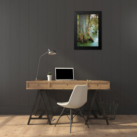 Bold Cypress Swamp-Twin Swamps Nature Preserve-Indiana-Midwest-USA Black Modern Wood Framed Art Print by Miller, Anna