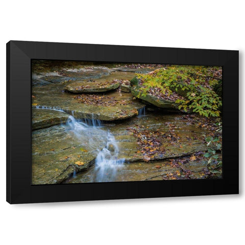Rocky Ledges with Waterfall in Clifty Creek Park-Indiana Black Modern Wood Framed Art Print by Miller, Anna