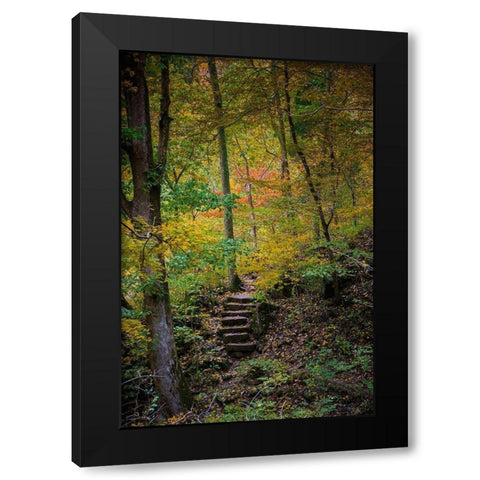 Trail Steps in Clifty Creek Park-Southern Indiana Black Modern Wood Framed Art Print by Miller, Anna
