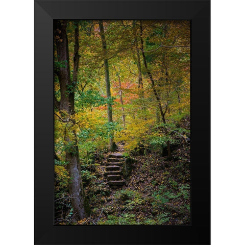 Trail Steps in Clifty Creek Park-Southern Indiana Black Modern Wood Framed Art Print by Miller, Anna