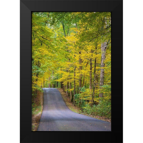 Curvy Road in Clifty Creek Park-Southern Indiana Black Modern Wood Framed Art Print by Miller, Anna