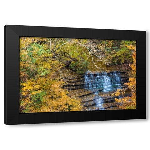 Fall Foliage Over Waterfall in Clifty Creek Park-Southern Indiana Black Modern Wood Framed Art Print by Miller, Anna