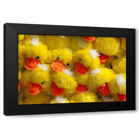 Indiana, Indianapolis Display of stuffed ducks Black Modern Wood Framed Art Print by Kaveney, Wendy