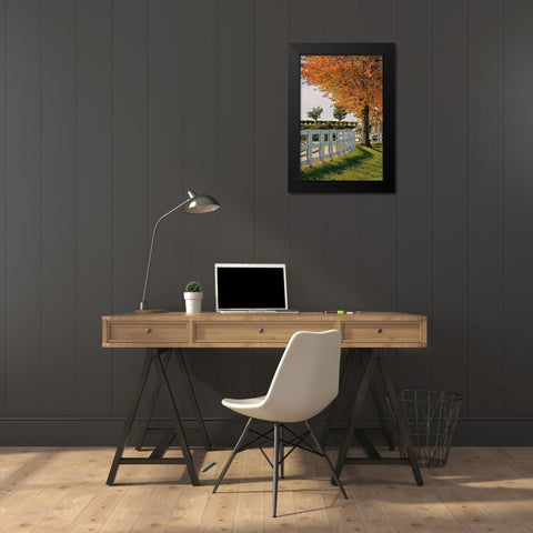 White fences-Keeneland race track-Lexington-Kentucky Black Modern Wood Framed Art Print by Jones, Adam