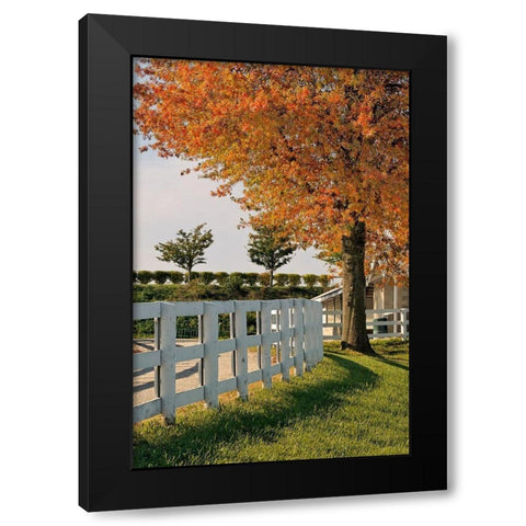 White fences-Keeneland race track-Lexington-Kentucky Black Modern Wood Framed Art Print by Jones, Adam