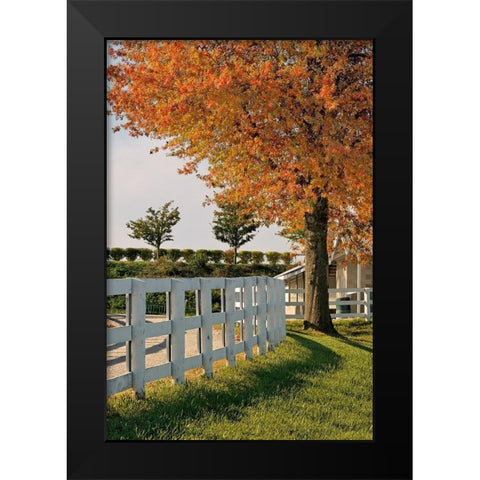 White fences-Keeneland race track-Lexington-Kentucky Black Modern Wood Framed Art Print by Jones, Adam
