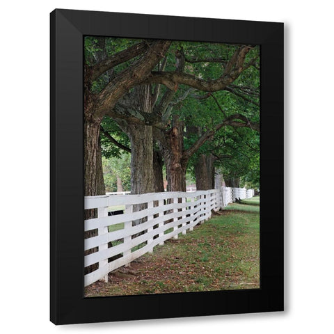 Gate and white wooden fence and overhanging trees-Shaker Village of Pleasant Hill Black Modern Wood Framed Art Print with Double Matting by Jones, Adam