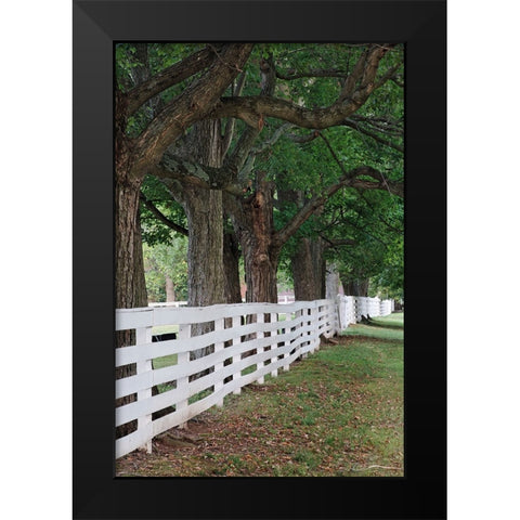 Gate and white wooden fence and overhanging trees-Shaker Village of Pleasant Hill Black Modern Wood Framed Art Print by Jones, Adam