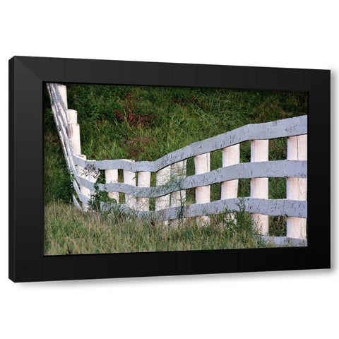 White wooden fence across rolling hill-Shaker Village of Pleasant Hill-Harrodsburg-Kentucky Black Modern Wood Framed Art Print with Double Matting by Jones, Adam