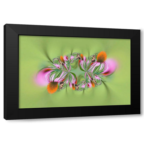 Tiger Swallowtail butterfly on purple coneflower-Kentucky Black Modern Wood Framed Art Print with Double Matting by Jones, Adam