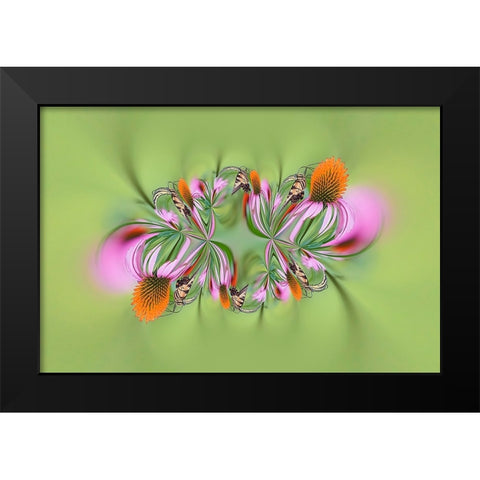 Tiger Swallowtail butterfly on purple coneflower-Kentucky Black Modern Wood Framed Art Print by Jones, Adam