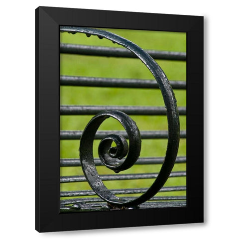 Louisiana, Vacherie Iron bench spiral Black Modern Wood Framed Art Print by Kaveney, Wendy