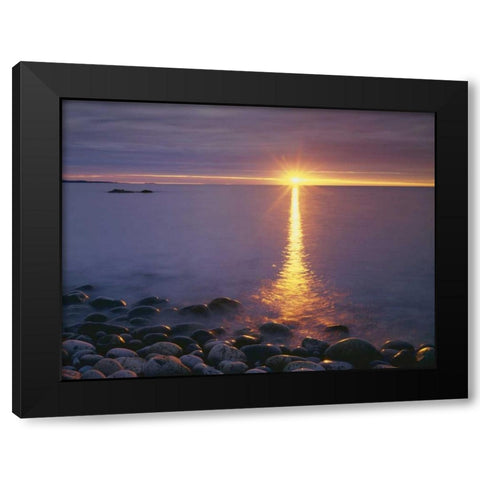ME, Acadia NP,Â  Sunrise on fog and shore rocks Black Modern Wood Framed Art Print by Talbot Frank, Christopher