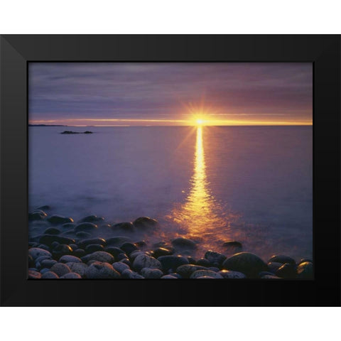 ME, Acadia NP,Â  Sunrise on fog and shore rocks Black Modern Wood Framed Art Print by Talbot Frank, Christopher