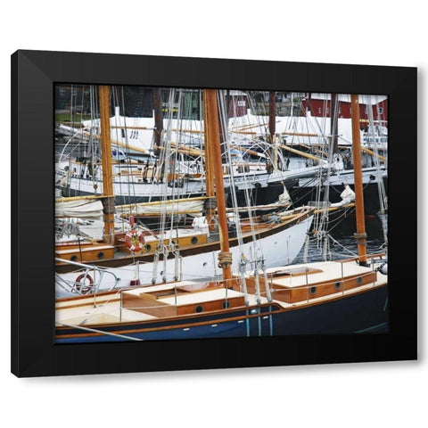 USA, Maine, Camden Sailboats in harbor Black Modern Wood Framed Art Print by Terrill, Steve