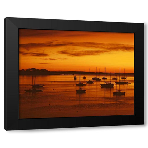 ME, Camden Sailboats silhouetted at sunrise Black Modern Wood Framed Art Print by Terrill, Steve