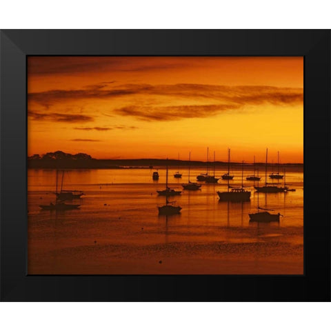 ME, Camden Sailboats silhouetted at sunrise Black Modern Wood Framed Art Print by Terrill, Steve