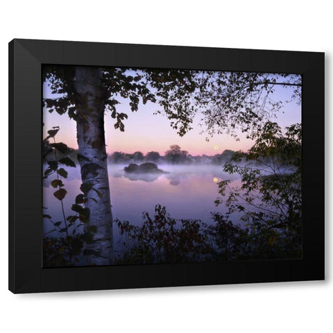 ME, Pittsfield Moonset with fog over Mill Pond Black Modern Wood Framed Art Print with Double Matting by Terrill, Steve