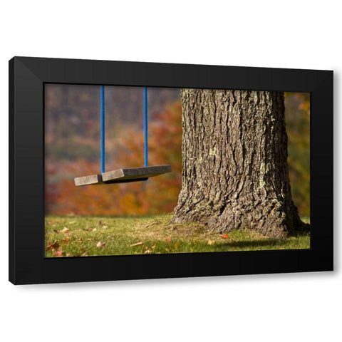 Maine, Bethel A wooden swing hangs from a tree Black Modern Wood Framed Art Print with Double Matting by Kaveney, Wendy