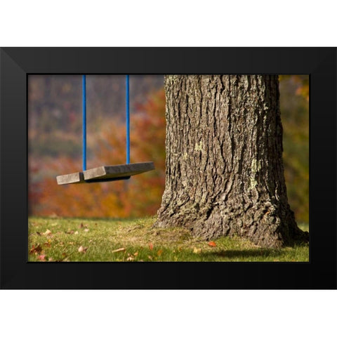 Maine, Bethel A wooden swing hangs from a tree Black Modern Wood Framed Art Print by Kaveney, Wendy