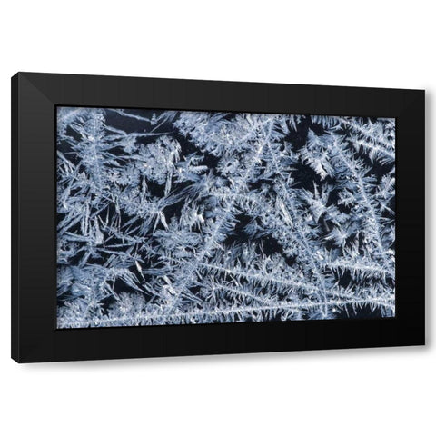 ME, HarpswellIce patterns on a winter window Black Modern Wood Framed Art Print by Clemons, Kathleen