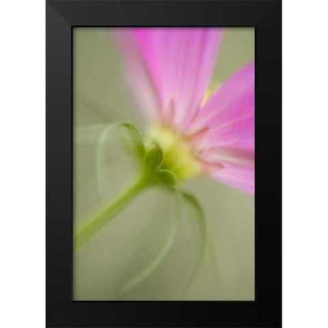 USA, Maine, Harpswell Black Modern Wood Framed Art Print by Clemons, Kathleen