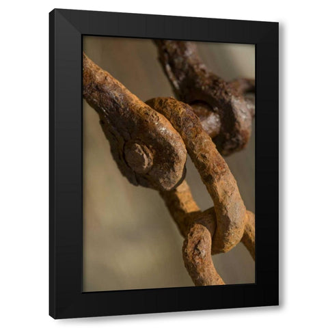 USA, Maine, Harpswell Rusted chain on a pier Black Modern Wood Framed Art Print by Clemons, Kathleen
