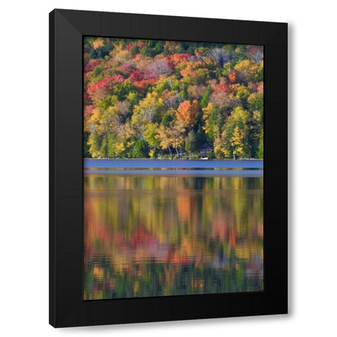 ME, Acadia NP Fall foliage and lake Black Modern Wood Framed Art Print by Rotenberg, Nancy