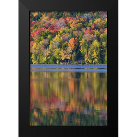 ME, Acadia NP Fall foliage and lake Black Modern Wood Framed Art Print by Rotenberg, Nancy