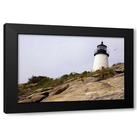 ME, Pemaquid Lighthouse overlooks coastline Black Modern Wood Framed Art Print by Clemons, Kathleen