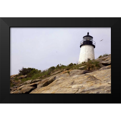 ME, Pemaquid Lighthouse overlooks coastline Black Modern Wood Framed Art Print by Clemons, Kathleen