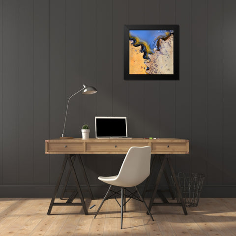 ME, Acadia NP Leaves form pattern on pond water Black Modern Wood Framed Art Print by Rotenberg, Nancy