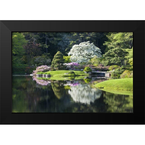 Maine, Northeast Harbor Garden pond scenic Black Modern Wood Framed Art Print by Rotenberg, Nancy