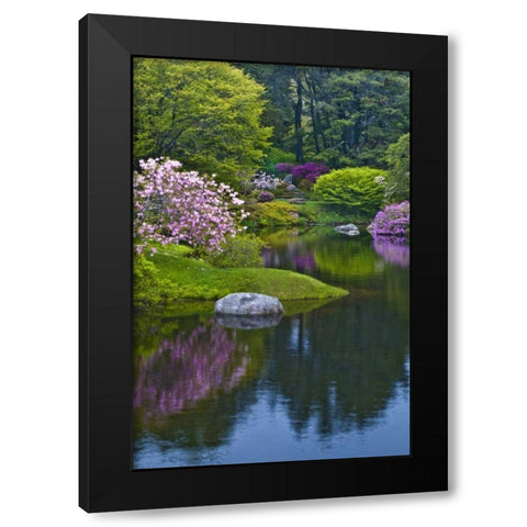 Maine, Northeast Harbor Azalea Garden Black Modern Wood Framed Art Print with Double Matting by Rotenberg, Nancy