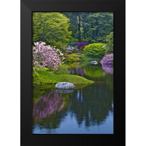 Maine, Northeast Harbor Azalea Garden Black Modern Wood Framed Art Print by Rotenberg, Nancy