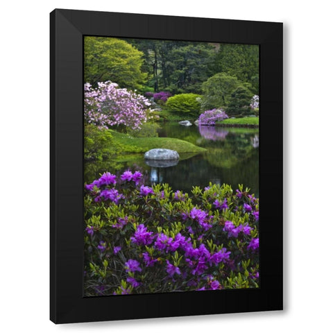 Maine, Northeast Harbor Beautiful Azalea Garden Black Modern Wood Framed Art Print with Double Matting by Rotenberg, Nancy