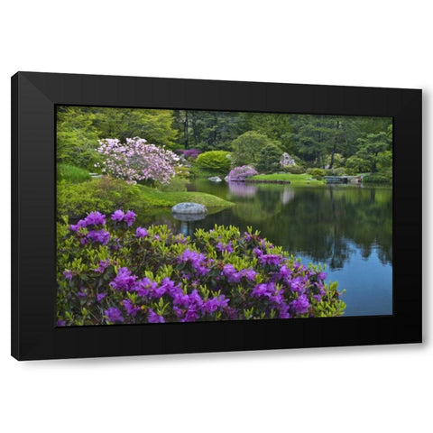 Maine, Northeast Harbor Garden pond scenic Black Modern Wood Framed Art Print by Rotenberg, Nancy