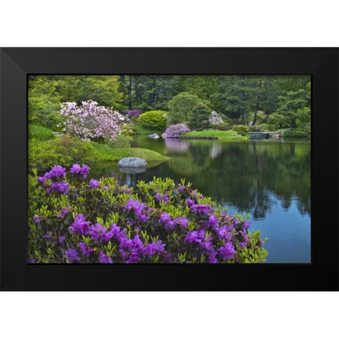 Maine, Northeast Harbor Garden pond scenic Black Modern Wood Framed Art Print by Rotenberg, Nancy