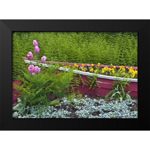 ME, Southwest Harbor Wooden boat used as planter Black Modern Wood Framed Art Print by Rotenberg, Nancy