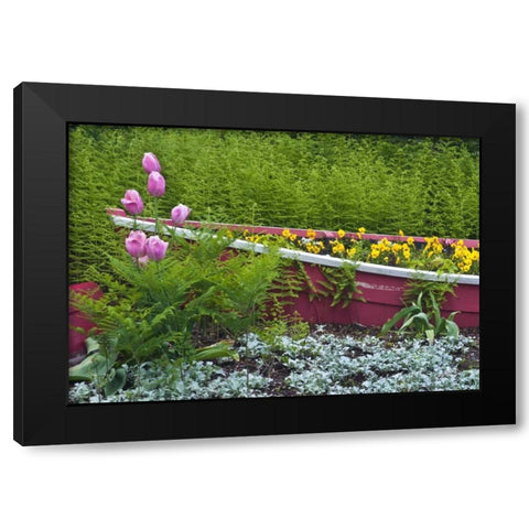 ME, Southwest Harbor Wooden boat used as planter Black Modern Wood Framed Art Print by Rotenberg, Nancy