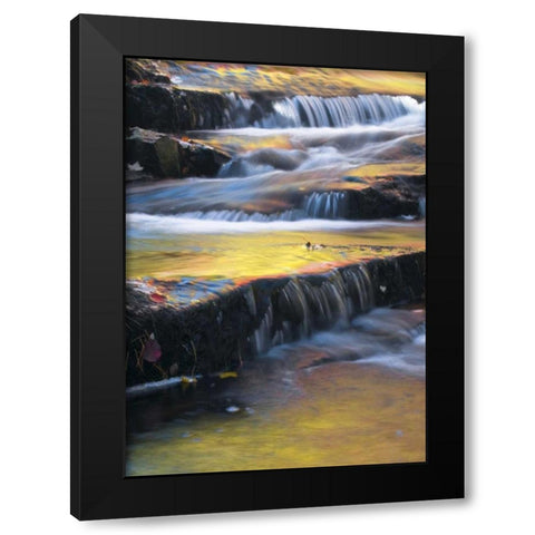 Maine, Acadia NP Autumn reflections in stream Black Modern Wood Framed Art Print with Double Matting by Rotenberg, Nancy