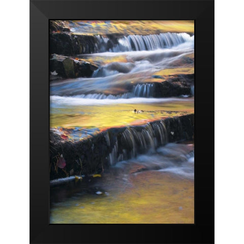 Maine, Acadia NP Autumn reflections in stream Black Modern Wood Framed Art Print by Rotenberg, Nancy