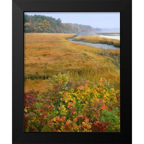 ME, Kennebunkport Tidal marsh on the Mousam Black Modern Wood Framed Art Print by Terrill, Steve