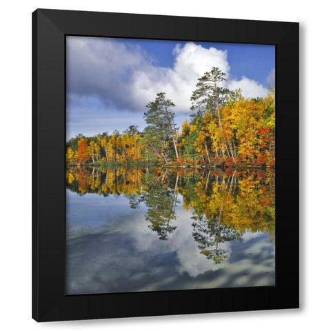 USA, Maine Autumn scenic of Upper Togue Pond Black Modern Wood Framed Art Print by Terrill, Steve
