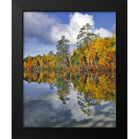USA, Maine Autumn scenic of Upper Togue Pond Black Modern Wood Framed Art Print by Terrill, Steve
