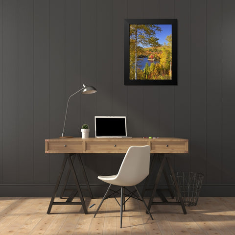 USA, Maine, Bingham Wyman Lake and autumn colors Black Modern Wood Framed Art Print by Terrill, Steve